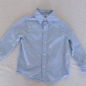 Janie and Jack Light Blue Button Down Shirt with Embroidered Details